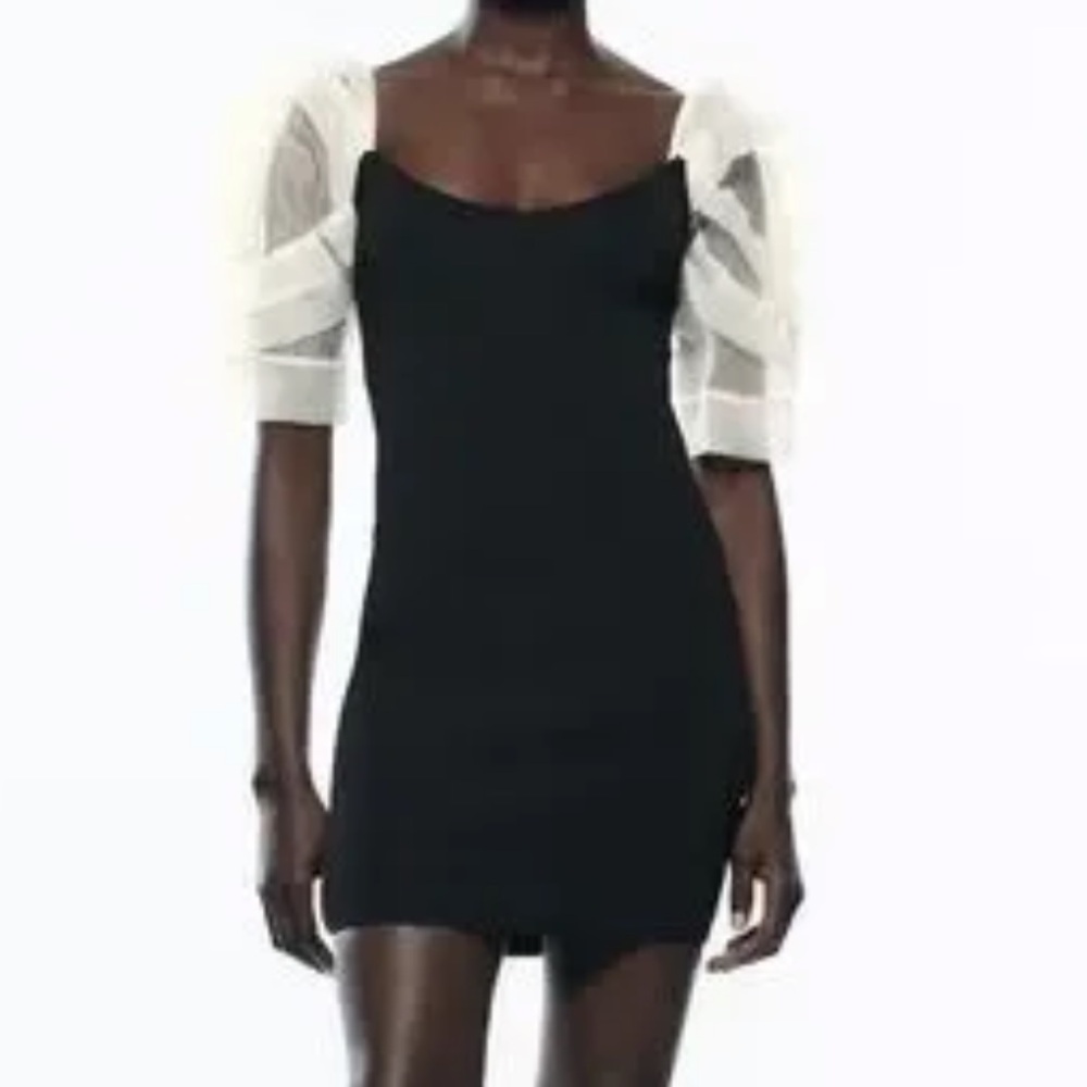 Zara Elegant Black Dress with Sheer White Sleeves BRAND NEW